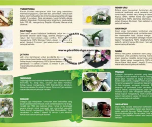 desain brosur flyer iklan produk kesehatan obat herbal 7