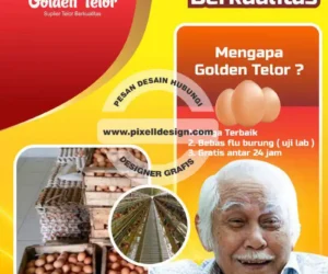 desain brosur flyer iklan sederhana produk agen telur