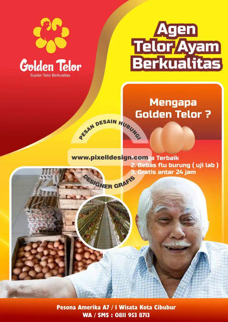 desain brosur flyer iklan sederhana produk agen telur