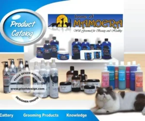desain katalog iklan produk pet shop